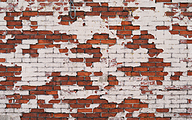 Red brick wall with severe damaged white stucco